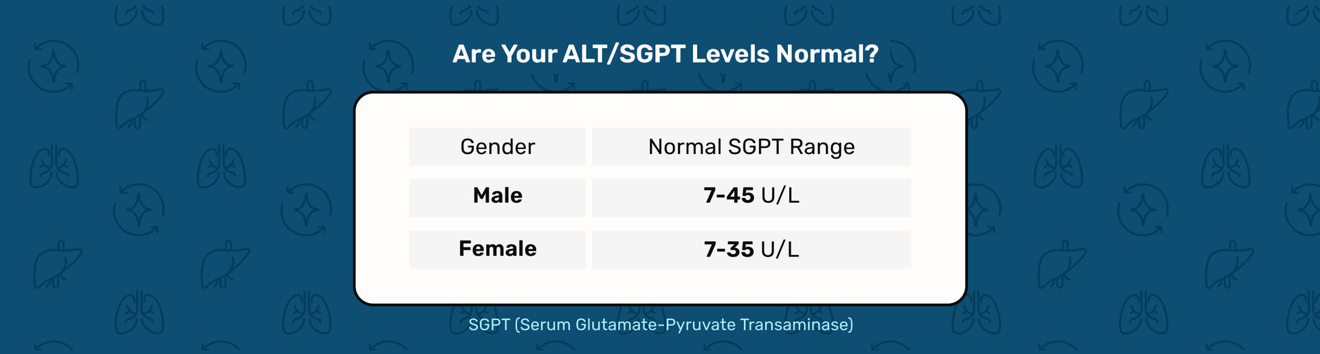 files/SGPT_Levels_chart_1.png