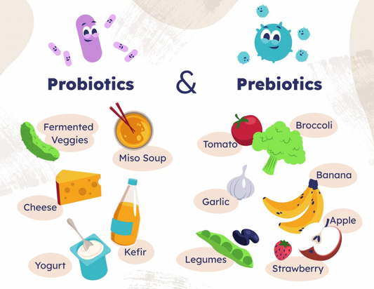 Everything You Need To Know About Pre And Probiotics