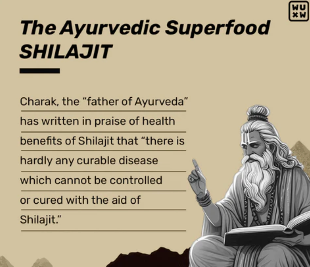 Shilajit for Men: How It Increases Their Energy and Stamina