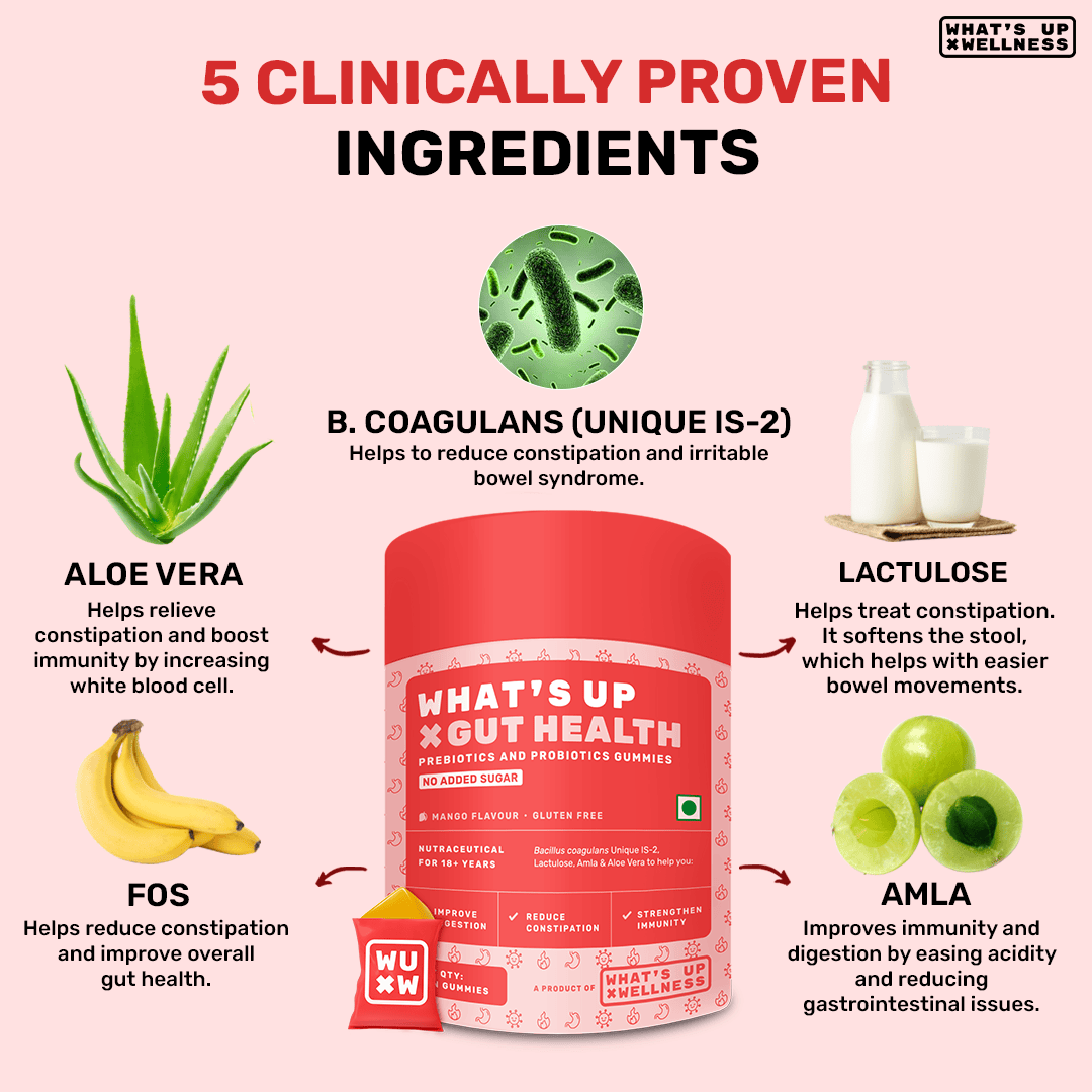 Gut & Energy Reset Combo