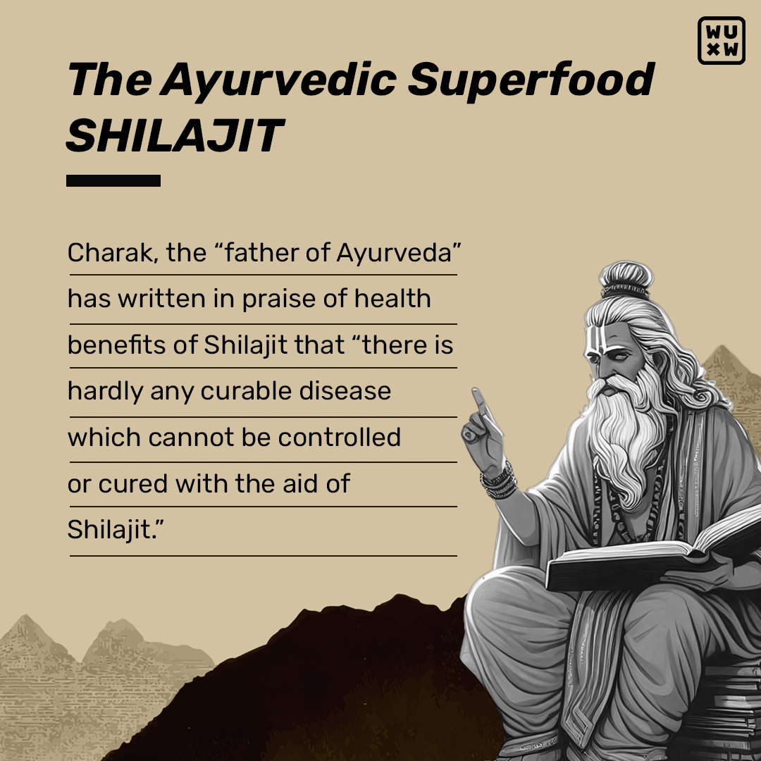 Gut & Energy Reset Combo