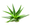 files/aloevera.png