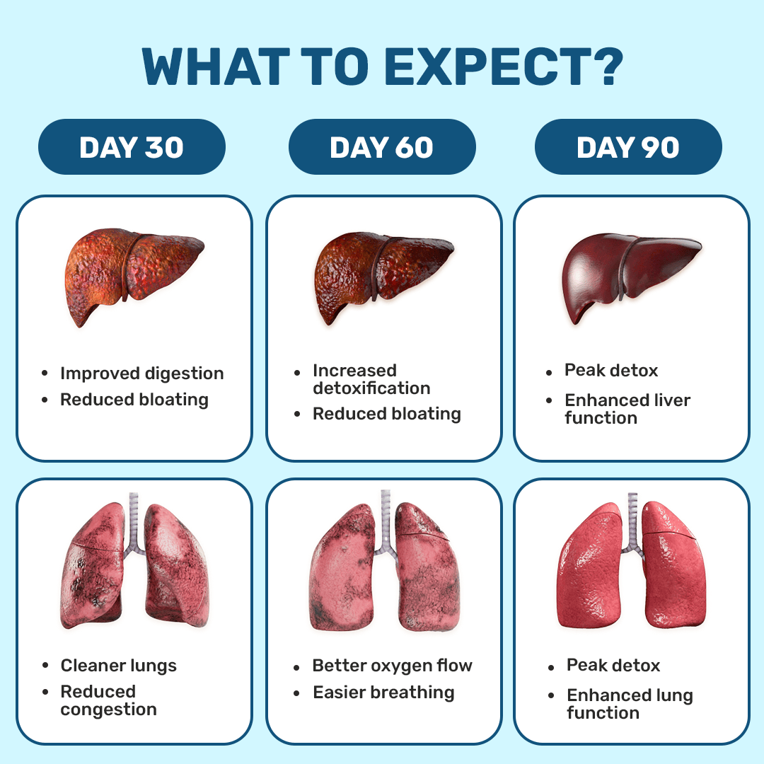 Lung Liver Detox Capsules What S Up Wellness